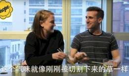 外国人吃中国娱乐圈的瓜,瓜田李下，揭秘明星幕后故事